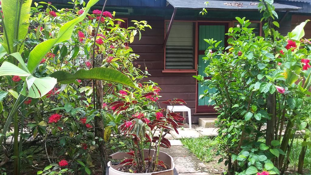 Secret Cabins At Firefly Beach Cottage Negril Zimmer foto